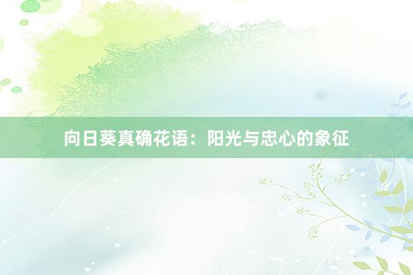 向日葵真确花语：阳光与忠心的象征