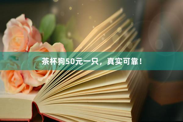 茶杯狗50元一只，真实可靠！