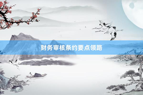 财务审核条约要点领路